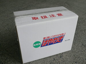 iP[X̔4{Zbgj ͂킴20L (5Lx4{) `OzT[g{MCP Xɂ΂₭ ͂  n[g