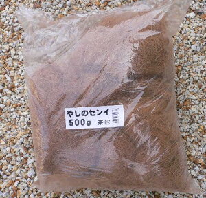 V̑@ i₵̃ZC@500gj`}`O nMO  RRt@Co[VR̃RRV@