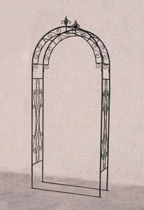 ylNG vzoA[`TKRA-M150ubNx LZ̏ꍇ +5000~ǉ