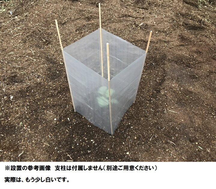 楽天市場】アンドン 乳白ポリキャップ大10枚入 ～行燈 苗 防風 カバー 