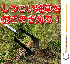 ۈ@͑胉Ehz[1200ti073620j` y؍Ɨpi Y 󍁍HƁ@lCYoutubeuؔ_TVvIXX