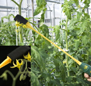 楽天市場 除草剤 植物調整剤 植物成長調整剤 トマトトーン ガーデニングどっとコム