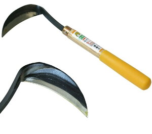 ؉p S| Ў Jbg `ɂȂމFObv  yʃRpNg y 芙 G