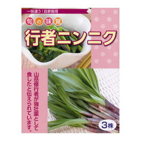 春植え球根　旬の味覚　行者ニンニク　3株～山菜苗 種子