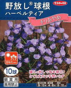 HA@@n[xeBA@` 10 `AŖNJԁI