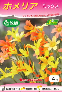 HA@zA@~bNX 4 ` AOK zA