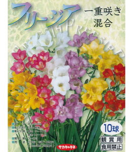 HA@t[WA d炫 @10 `~bNXJ[ t炫