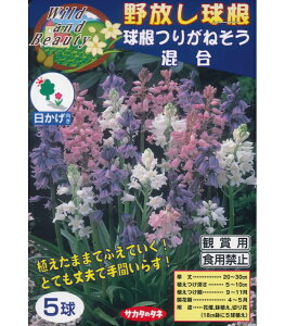 HA@CL@ 肪˂  5`Ał 肪ˑ V[ Jpj