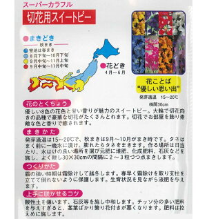 楽天市場 アタリヤ 切り花用 スイートピープレミアム スーパーカラフル 3ml 花種 ガーデニングどっとコム