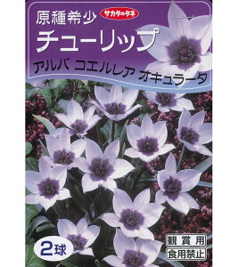 HA`[bv@󏭃`[bv@Ao RGA IN[^ 2`ZNg ~j`[bv Ao RGA IL[^