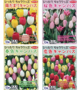 HA@`[bv@҂肿イՁ@3퍬10