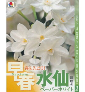HA@@tǂIt [炫 y[p[zCg 3`XCZ  ser.
