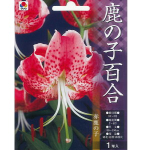 HA`tA@̎qS@Ԏ̎q@1`hE ^io^ ̂