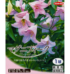 HA S@}OjtB[N@1`sNFn Ig 