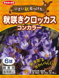 HA@NbJX@H炫NbJX@RJ[6