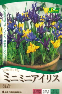 HA@~j~j ACX@5 ` ̒Ⴂ 炫ACX