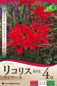 HA@RX ފ݉ WA[^ 4 `Hʂ H炫 qKoi