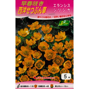 HA@t炫 mԂ GVXVVJ 5 `Zcu\E ߕ 