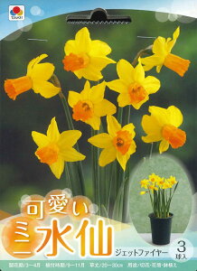 HA@XCZ@~j WFbgt@C[ 3 `VN炫   ser.