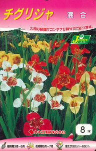 tA@`OW@8`g ՕS `OWA eBOfBA