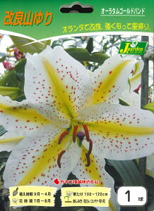 HA`tA@ R@I[^S[hoh@1 `F RS } ܂