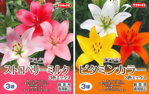 HA`tA@ 3F~bNX 3 ` XJV S sNorCG[