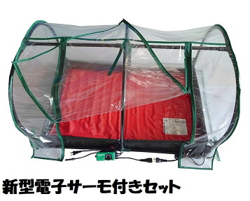 楽天市場】最大100%ポイントバック 確率2分の1！条件達成でチャンス 