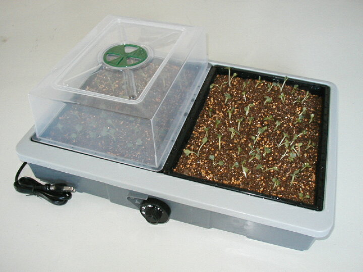 楽天市場】愛菜花PG-10 新型リニューアル品 室内用発芽育苗器 