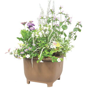 i3Zbg̔jeco&eco@p^ECv^[@p38^GRuEx3@`lp`v^[ eco؉v^[