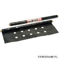 （4cmx5列 穴開きマルチ） タキイ 菜園マルチ　穴あき黒マルチシート 95cmx50m巻き 〜送料無料 他の商品…
