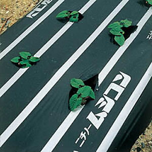 j`m[@VR悯}`V[g95cmx50m@`  h }`V[g