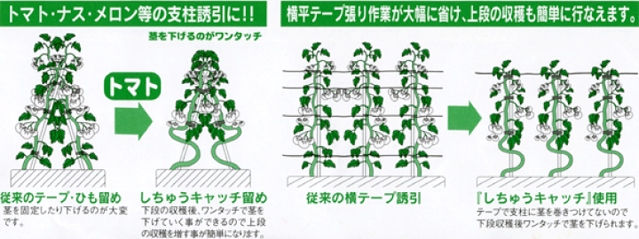 楽天市場】しちゅうキャッチ20mm用24個入緑 〜シーム 支柱キャッチ