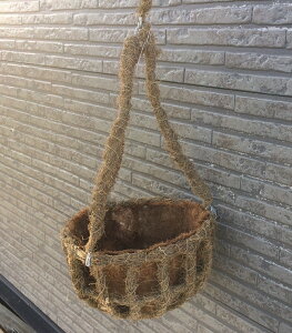 ݂蔫 nMOoXPbg ^ RH01-28K `Rf ݂RtbN&V}bgt