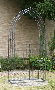 ylNG vzJQ[gt[YA[`@MGA20-01 `ACA oA[` Jt x/LZꍇ +8000~ǉ