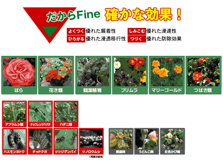 楽天市場】住友化学園芸 ベニカXファインスプレー1000ml