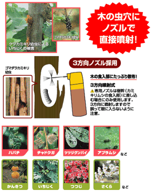 楽天市場 住友化学園芸 園芸用キンチョールe 4ml カミキリムシの幼虫退治に ガーデニングどっとコム