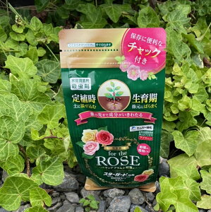 i3܃Zbg̔jGV[Ή@X^[K[h900gi300gx3܁j `for the ROSE 낢Ȗ o̊Q AuV΍