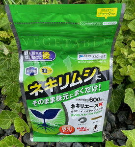 GV[Ή@lLG[XK600g@`yɂQ ȃlLV쏜 ܂Uo쏜