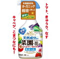 家庭菜園に！天然成分などで安全な防虫剤や殺虫剤のおすすめを教えてください