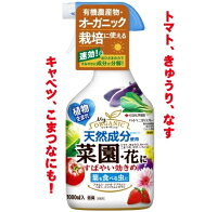 住友化学園芸　パイベニカVスプレー 1000ml　【野菜に速攻！害虫退治】