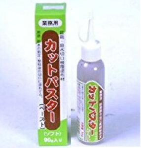 JbgpX^[(y[Xg) 90g@ui~́AAؐ̐،핢zށIv