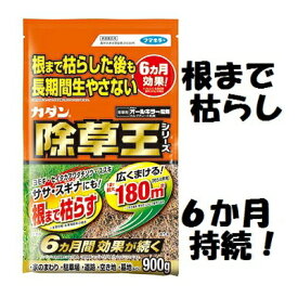 楽天市場 細 300 園芸薬剤 植物活性剤 ガーデニング 農業 花 ガーデン Diyの通販