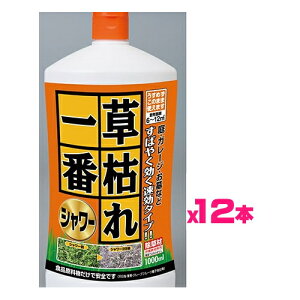 iP[X̔j͂ԃV[i1000mlx12{j`̂܂܎gV[^Cv ΂₭U^Cv pltH