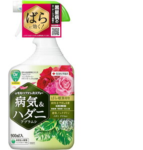 GF XgbvWRXv[@900ml `΂Ɍa aCn_j AuV KN ϗtA ZFw|