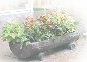 OXt@Co[Jo[@M`v^[100DBR@_[NuE͕ʓr+10,000~ǉ