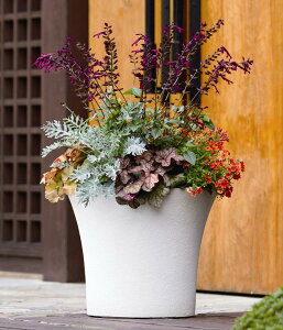 OXt@Co[Jo[@NECR-51W@zCg͕ʓr+10,000~ǉ