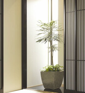 OXt@Co[Jo[@uCgBS-48GR@p^O[͕ʓr+10,000~ǉ