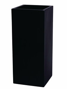 OXt@Co[Jo[@vY3480BK@ubN͕ʓr+10,000~ǉ