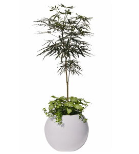 OXt@Co[Jo[@vlbgP-47W@zCg͕ʓr+10,000~ǉ