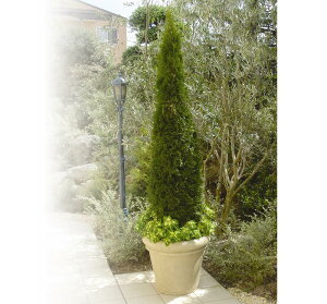 OXt@Co[Jo[@Z|bg40IV@AC{[͕ʓr+10,000~ǉ